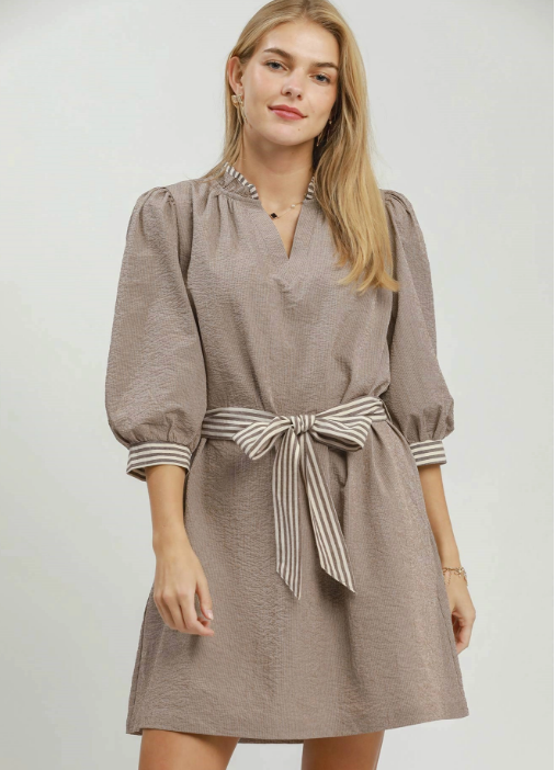 Brown Contrast-Tie Waist Dress